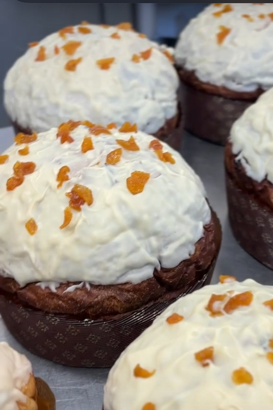 Panettone al albicocca