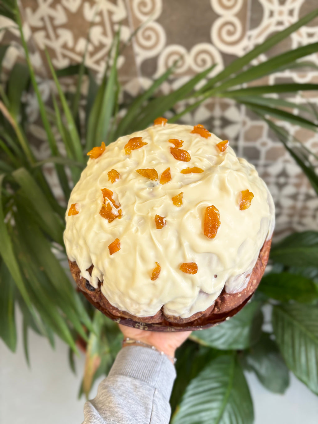 Panettone al albicocca