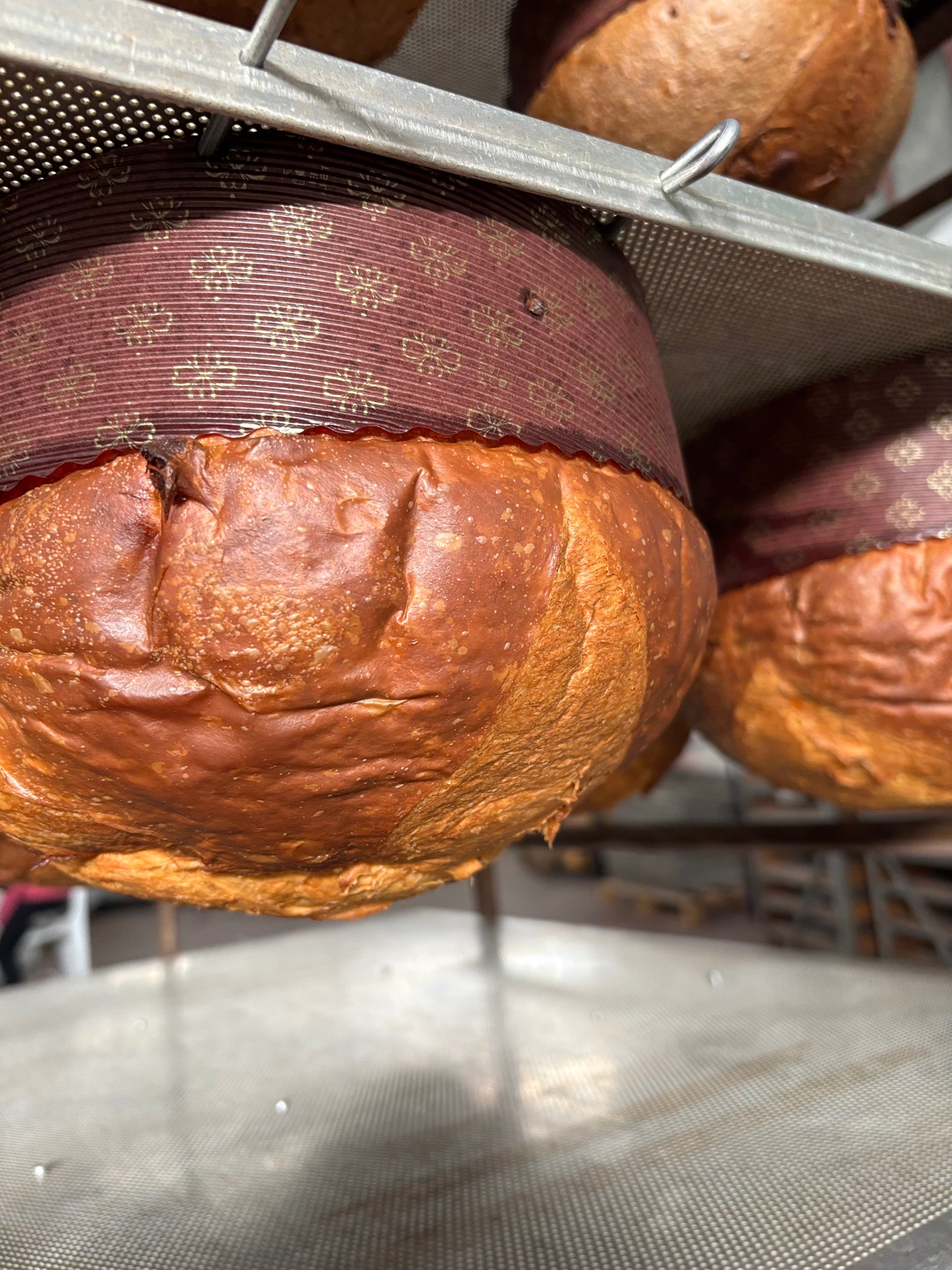 Panettone al albicocca