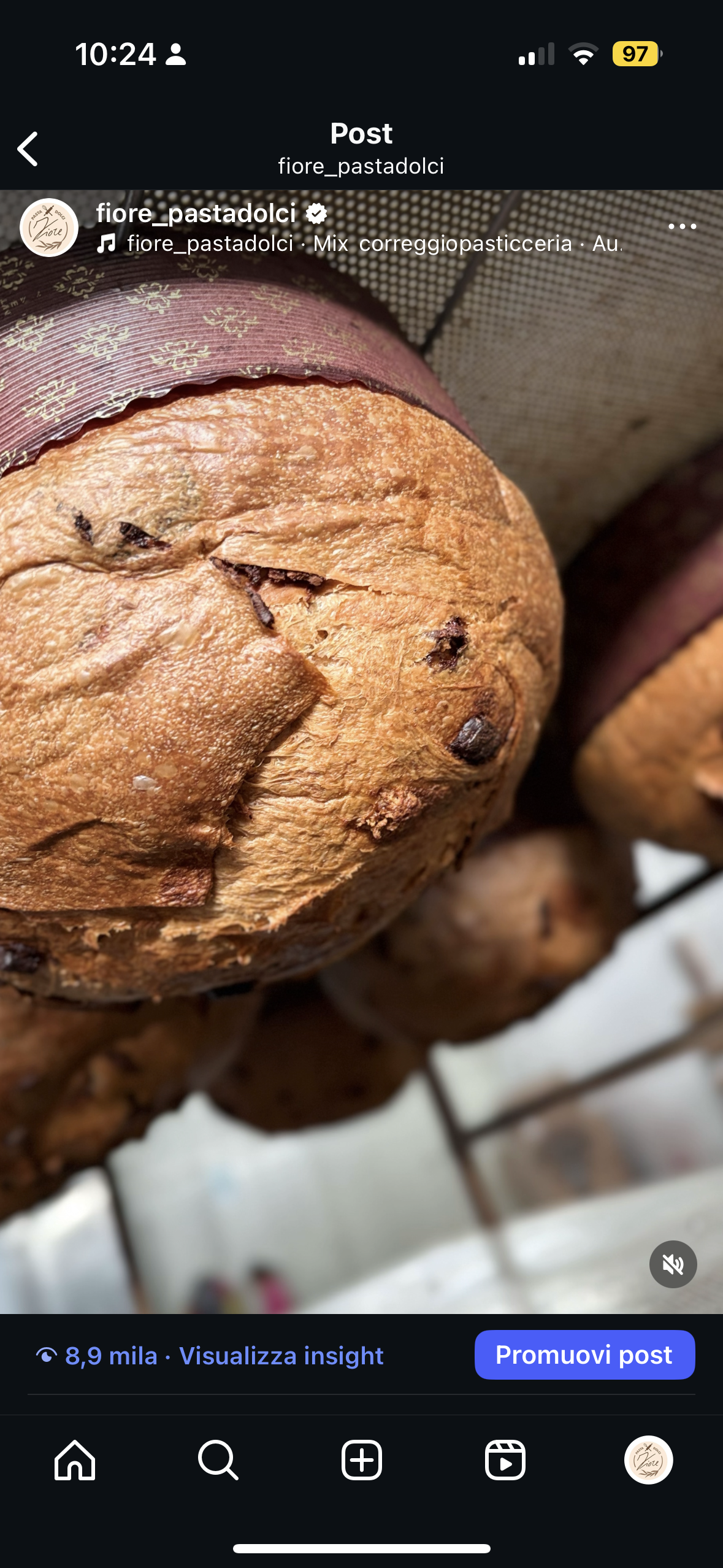 Panettone ai tre cioccolati