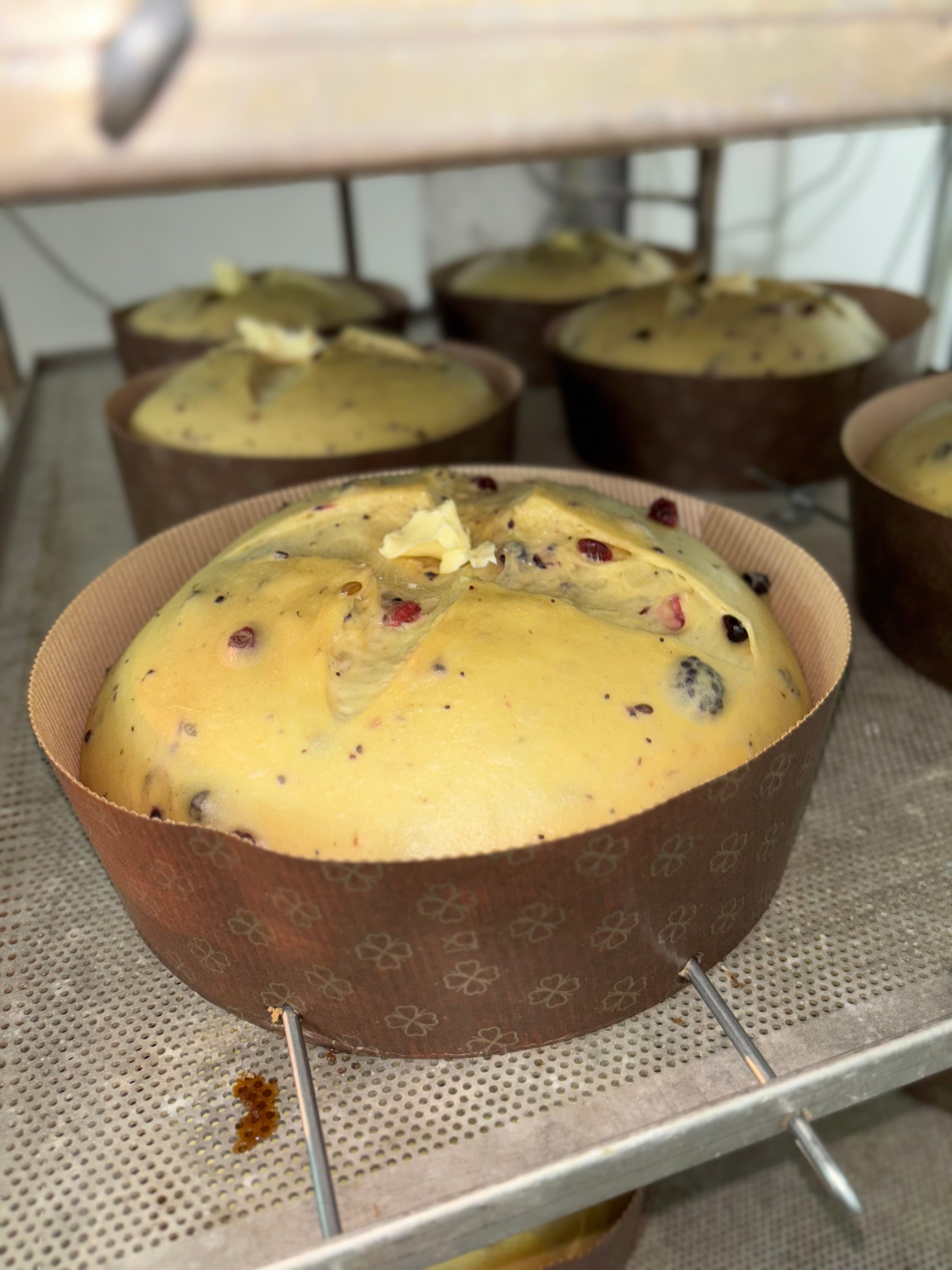 Panettone ai frutti di bosco con l’impasto integrale