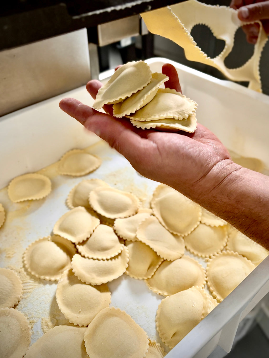 Ravioli burrata e limone