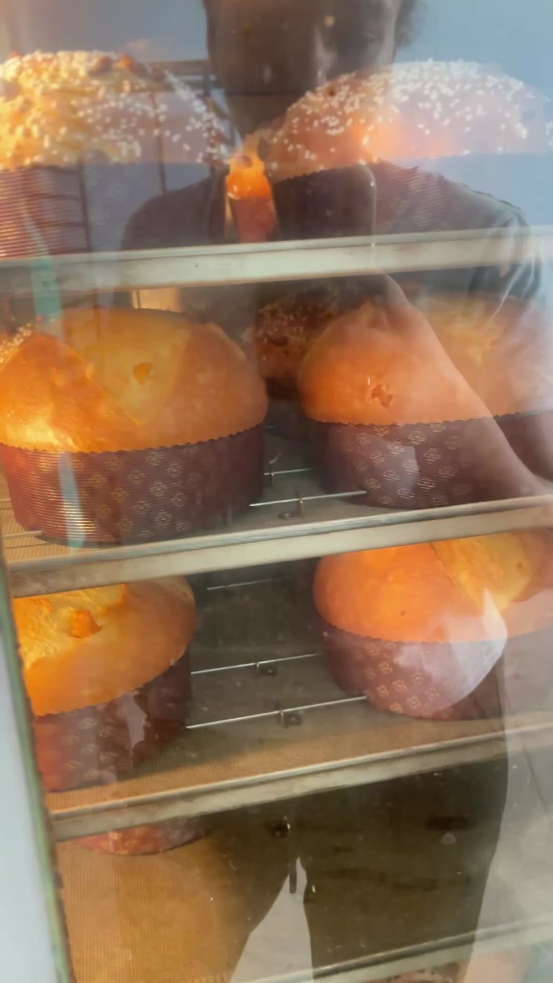 Panettone al albicocca